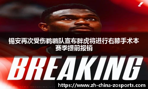 中欧体育官方网站