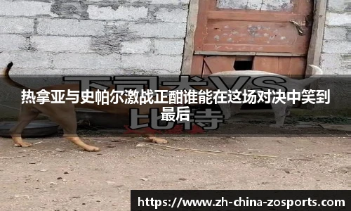 中欧体育官方网站